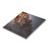 Carreau Ruelles Sombres De Poussière Crise Cendaure Centau (Côté)