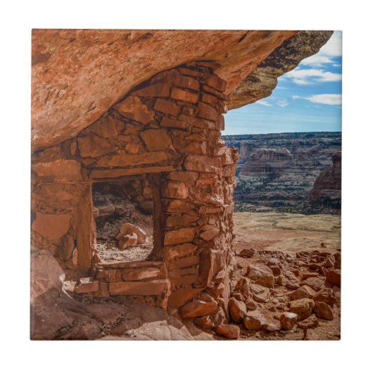 Carreau Ruine d'Anasazi de loge de Lewis - MESA de cèdre - (Devant)
