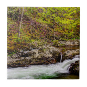 Carreau Ruisseau forestier dans les Great Smoky Mountains