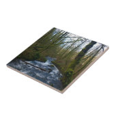 Carreau Ruissellement de Bridal Veil Falls, OR (Côté)