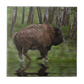 Carreau Running Buffalo & Forest, Bison-lover's Design (Devant)