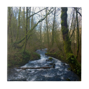 Carreau Runoff from Bridal Veil Falls