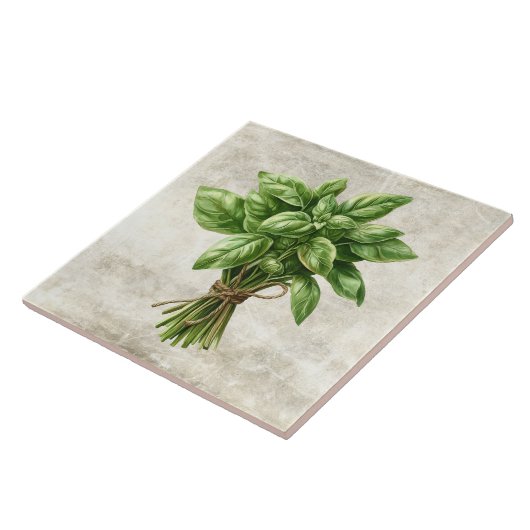 Carreau Rustic Basil Herb Faux Ceramic Tile (Côté)