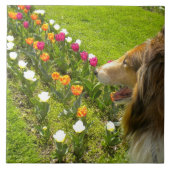 Carreau Sable Collie N Tulips Tile Trivet (Devant)
