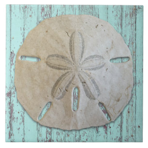 Carreau Sable naturel Dollar Plage rustique Bois