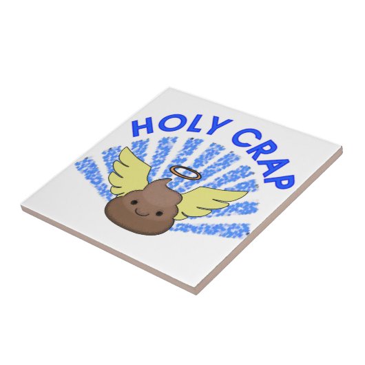 Carreau Sacrée merde (Côté)