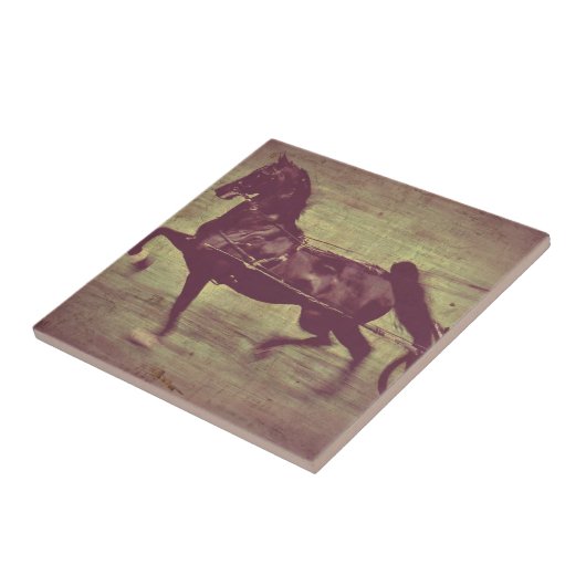 Carreau Saddlebred Song (Côté)