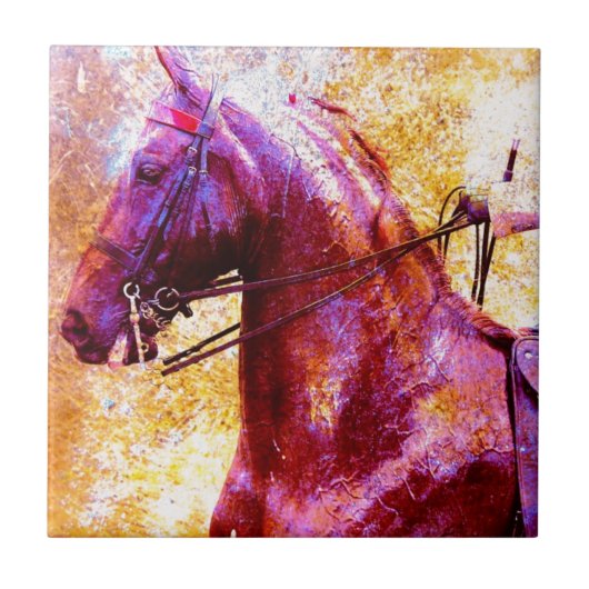 Carreau Saddleseat Grunge (Devant)