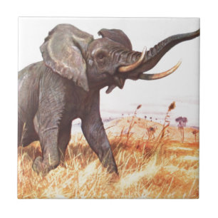 Carreau Safari Africain Jungle Destinée Animaux Eléphants