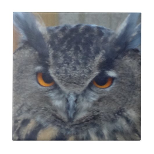 Carreau Sage (Devant)