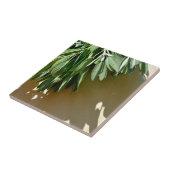 Carreau Sage frais coupé (Côté)