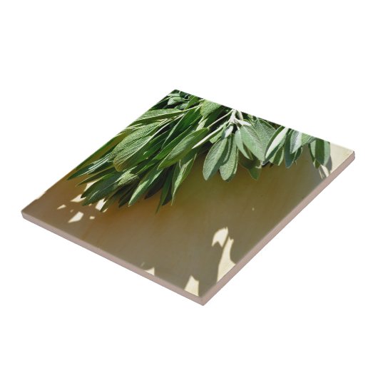 Carreau Sage frais coupé (Côté)