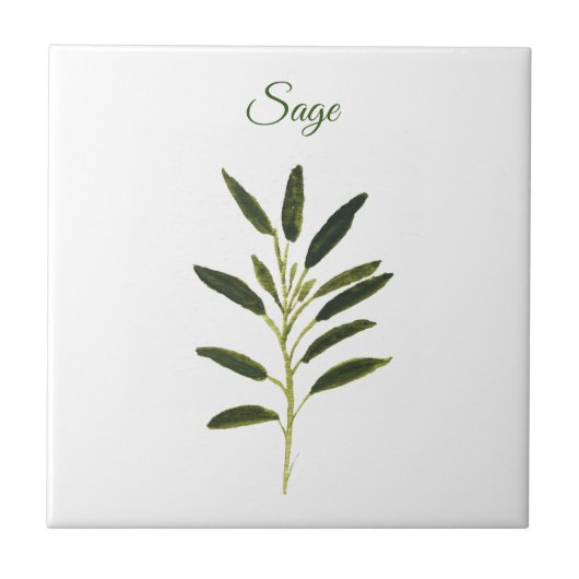 Carreau Sage Herbe Verdure Cuisine culinaire Vert rustique (Devant)