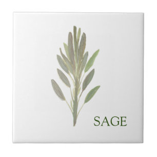 Carreau Sage Herbe Vert Cuisine Cuisine Vert Plante culina