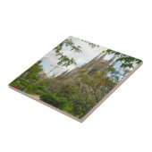 Carreau Sagrada Família, Barcelone (Côté)