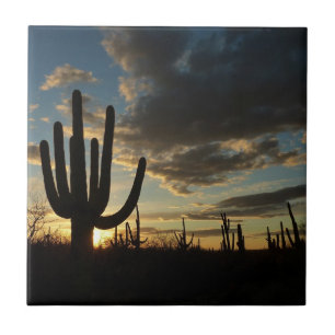 Carreau Saguaro Sunset II Arizona