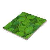 Carreau Saint Basil Tulsi Green Mint Feuilles (Côté)