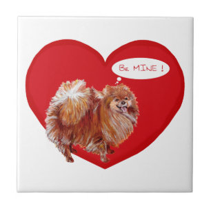 Carreau Saint-Valentin spitz nain