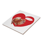 Carreau Saint-Valentin spitz nain (Côté)