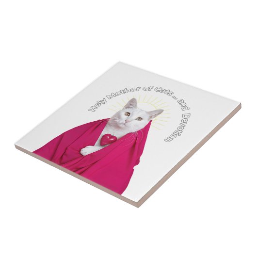 Carreau Sainte Mère des Chats et de la Dévotion (Côté)