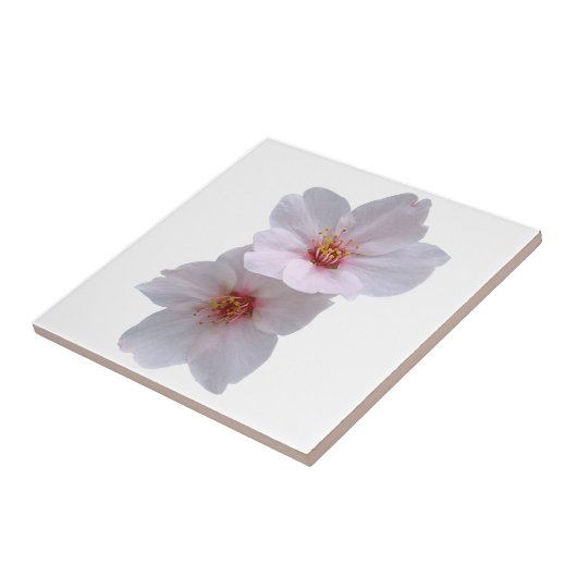 Carreau Sakura (Côté)