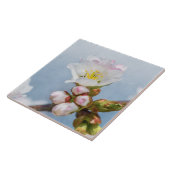 Carreau Sakura Blossom (Côté)