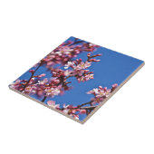 Carreau Sakura Cerisiers en Fleur Touchant le Bleu (Côté)