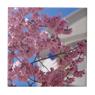 Carreau Sakura Cherry Blossoms