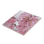 Carreau Sakura Cherry Blossoms rose pâle (Côté)