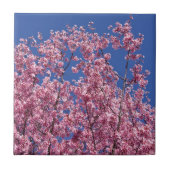 Carreau Sakura Cherry Fleurit Dans Le Bleu (Devant)
