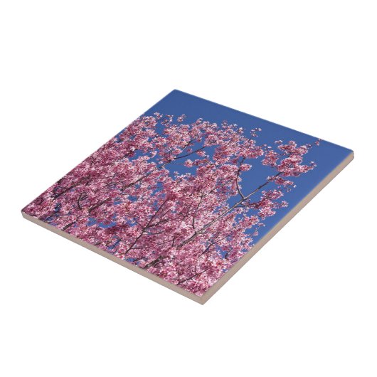 Carreau Sakura Cherry Fleurit Dans Le Bleu (Côté)