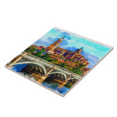 Carreau Salamanque / Castille et Leon, Espagne. (Côté)