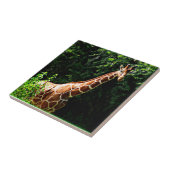 Carreau Samburu Giraffe (Côté)