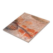 Carreau San, Bushman Rock Art, Cederberg Wilderness (Côté)