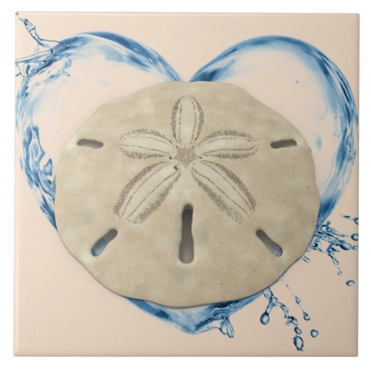 Carreau sanddollar (Devant)