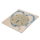 Carreau sanddollar (Côté)