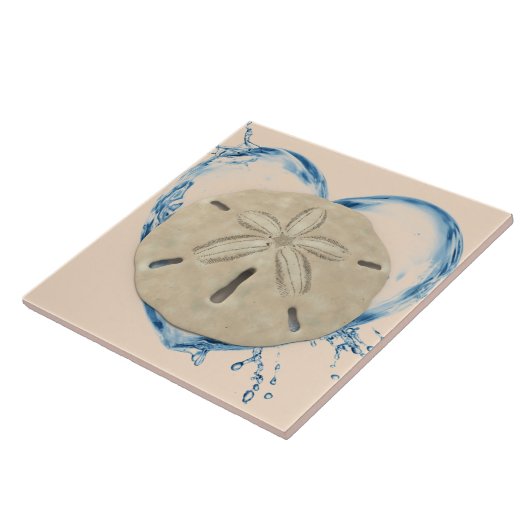 Carreau sanddollar (Côté)