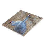 Carreau Sandhill tend le cou la tuile (Côté)