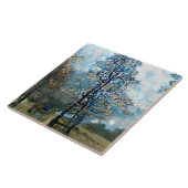 Carreau Sapin (Côté)