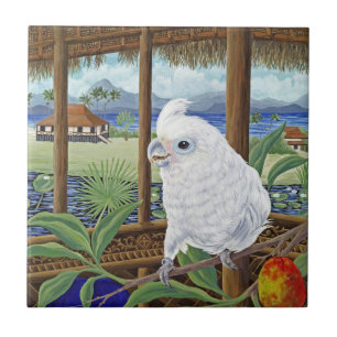 Carreau Sasha en Indonésie