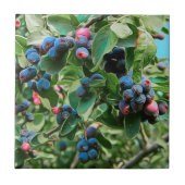 Carreau Saskatoon (Devant)