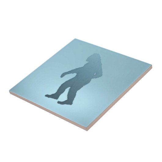 Carreau Sasquatch (Côté)