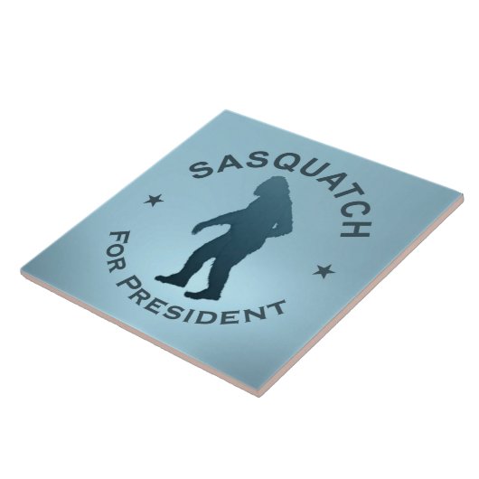 Carreau Sasquatch, Président (Côté)