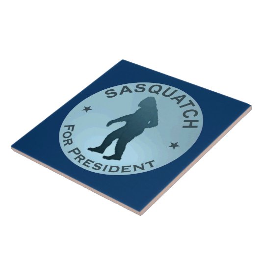 Carreau Sasquatch, Président (Côté)