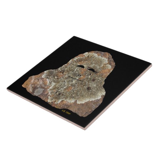 Carreau Sasquatch rock art (Côté)