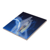 Carreau Saturne (Côté)