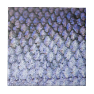 Carreau Saumon chatoyant