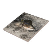 Carreau Saumon de saut (Côté)