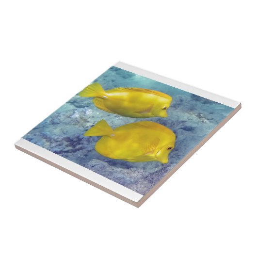 Carreau Saveurs jaunes (Côté)