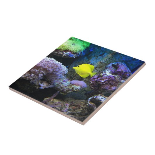 Carreau Scalaire jaune (Côté)